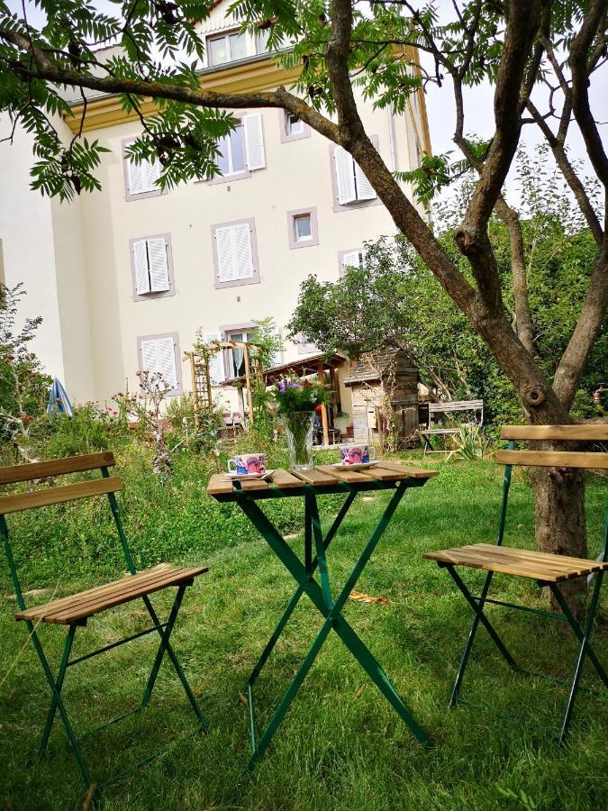 Appartement Combles Et Vous, Duplex T6 Colmar, Famille, Inclusive, Jardin&parking Vélos Colmar