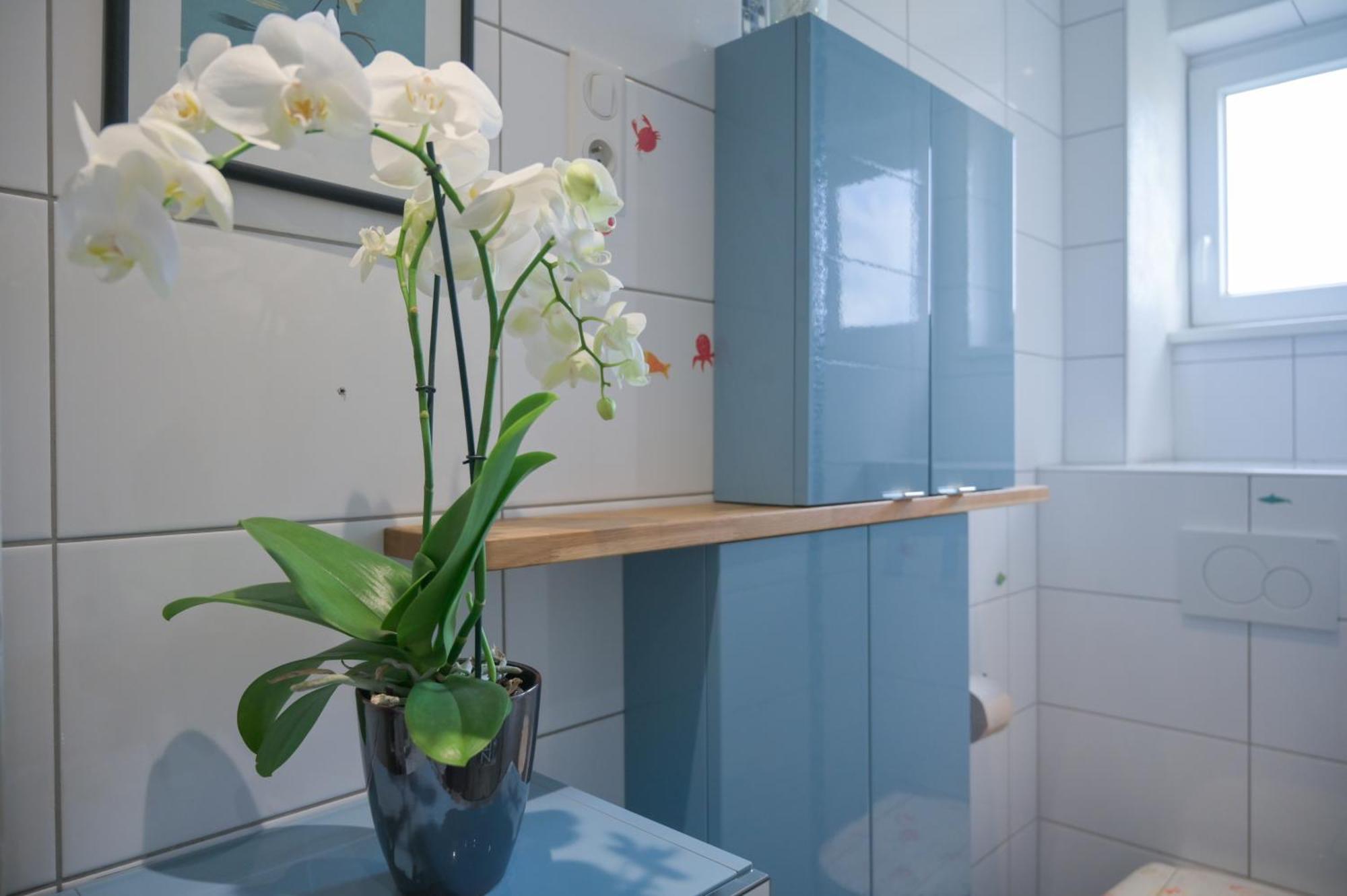 Combles & Vous Apartment Colmar