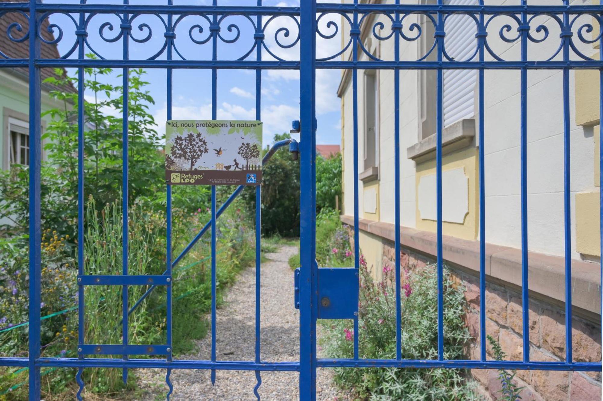 Appartamento Combles Et Vous, Duplex T6 Colmar, Famille, Inclusive, Jardin&parking Vélos Colmar