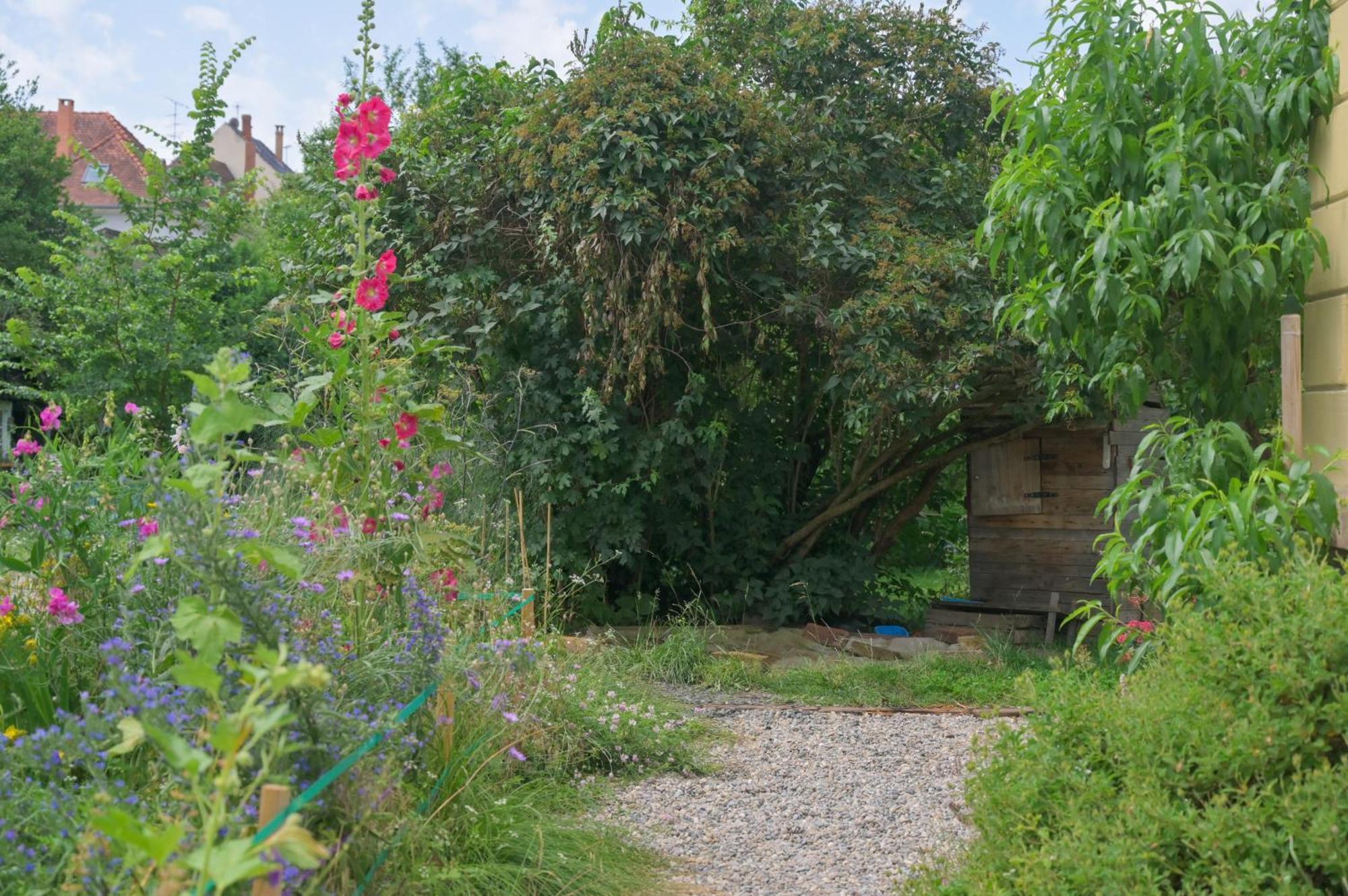 Combles Et Vous, Duplex T6 Colmar, Famille, Inclusive, Jardin&parking Vélos Appartement Colmar