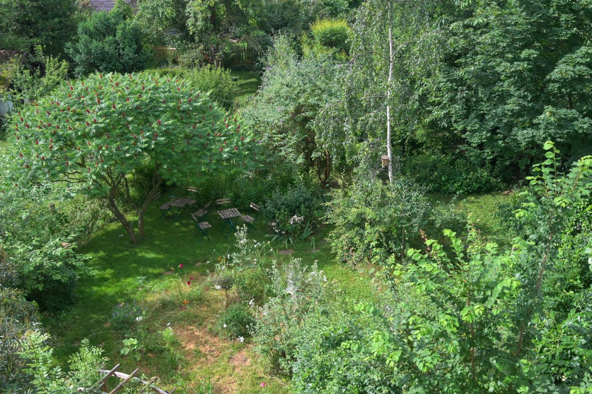 Appartement Combles Et Vous, Duplex T6 Colmar, Famille, Inclusive, Jardin&parking Vélos Colmar